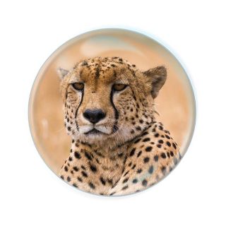 Obrázek z Magnet kulatý 5cm - gepard (12) 